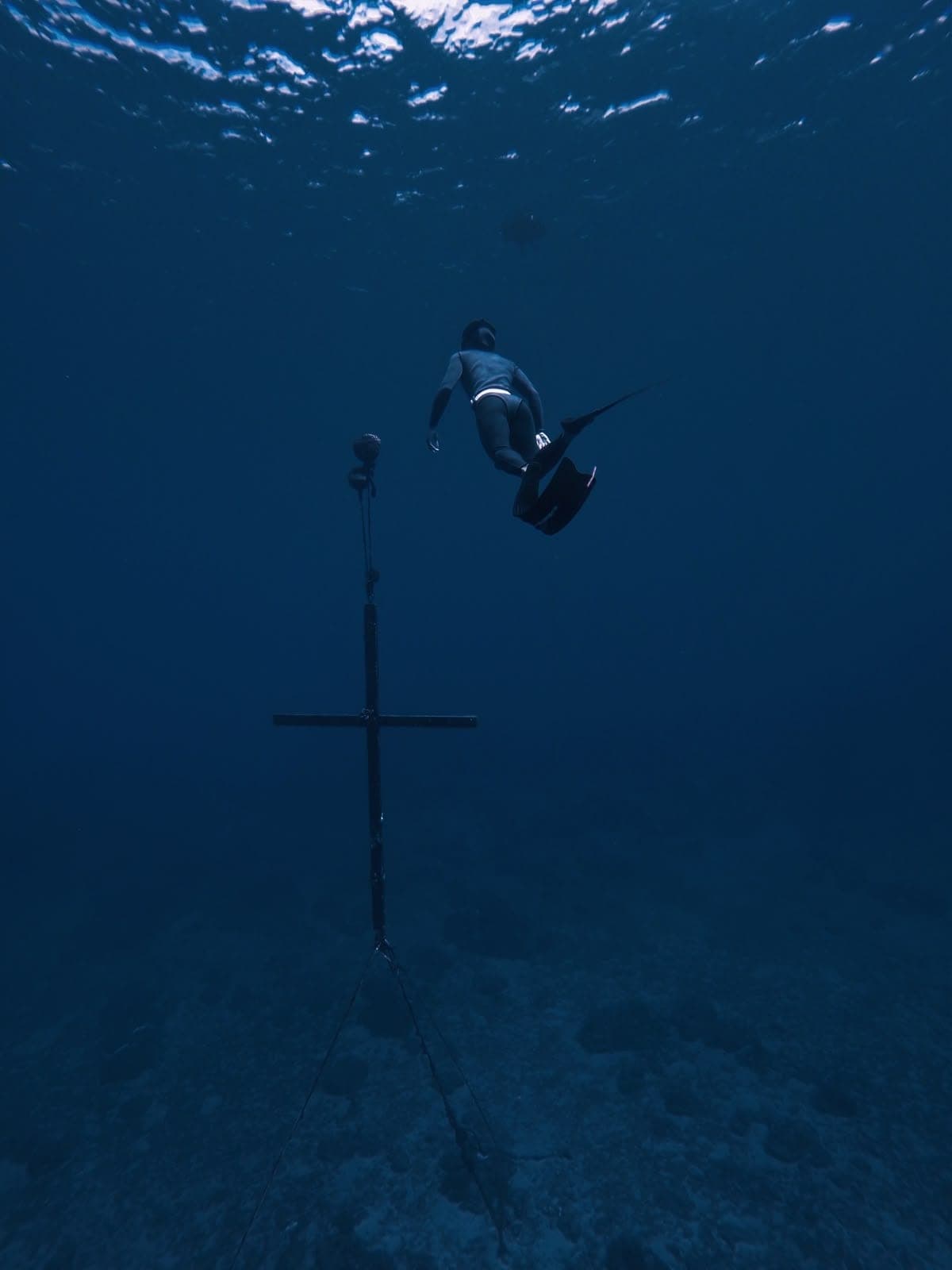Suyu freediving in deep blue water beside a guide line, seen from below as a silhouette